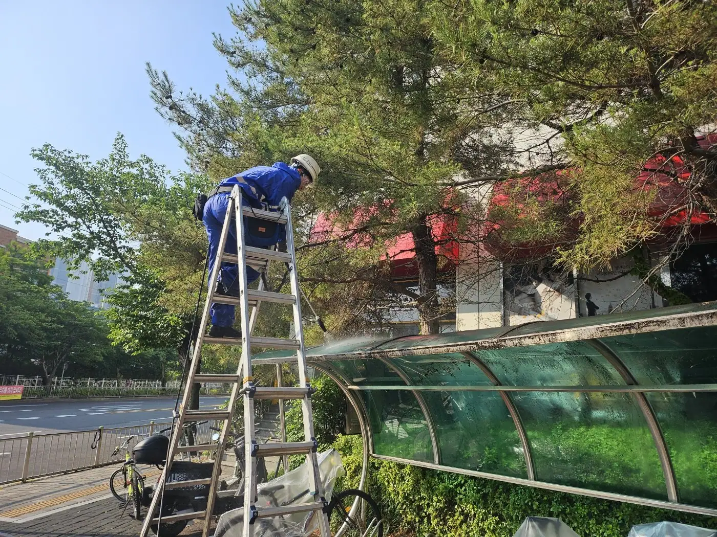 지붕 옆에 사다리를 세워 상부를 세척하는 장면